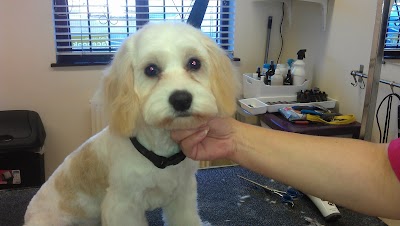 Grooming Van Image