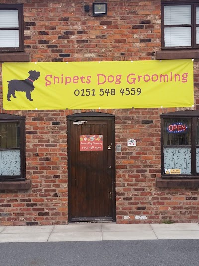 Grooming Van Image