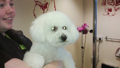 Grooming Van Image