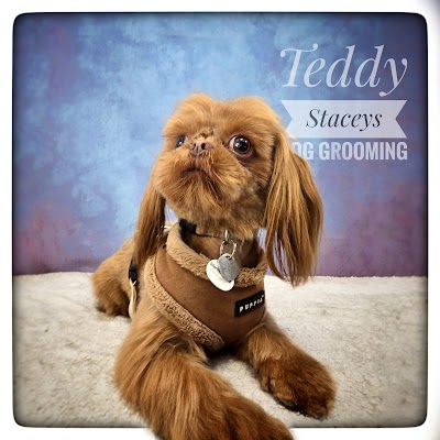 Grooming Van Image