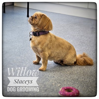 Grooming Van Image