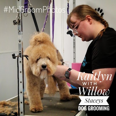 Grooming Van Image