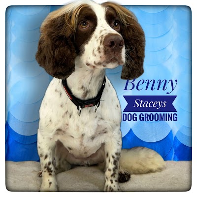 Grooming Van Image