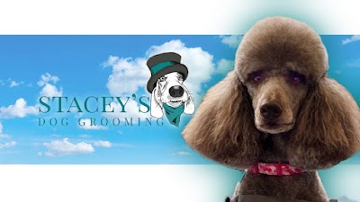Staceys Dog Grooming