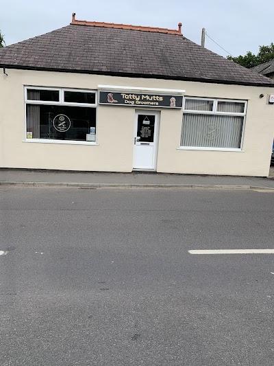 Tatty Mutts Dog Groomers