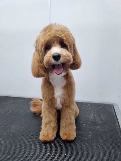 Grooming Van Image