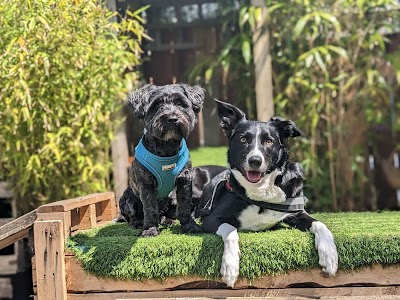 Grooming Van Image