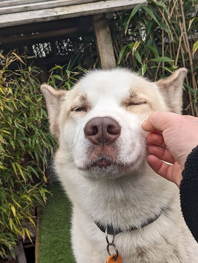 Grooming Van Image