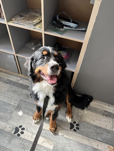 Grooming Van Image