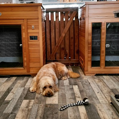 Grooming Van Image