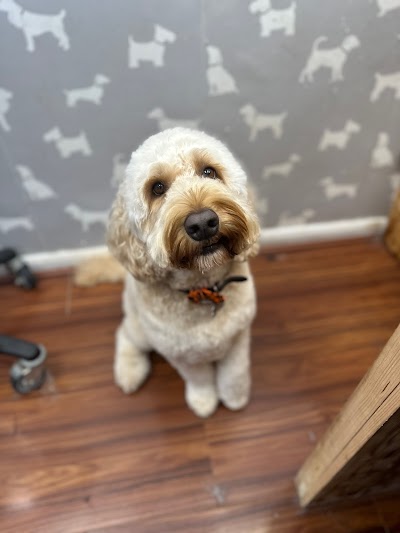Grooming Van Image