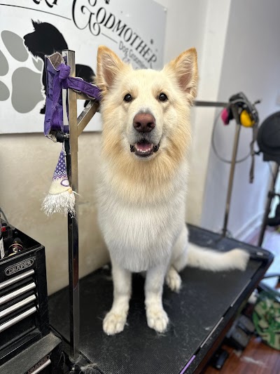 Grooming Van Image