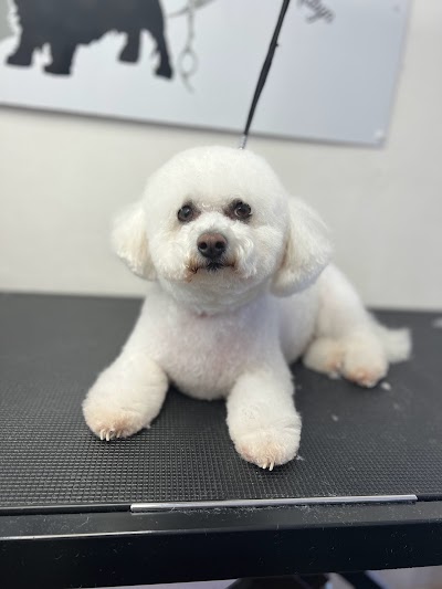 Grooming Van Image