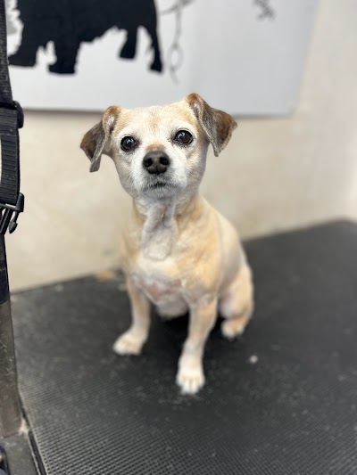 Grooming Van Image