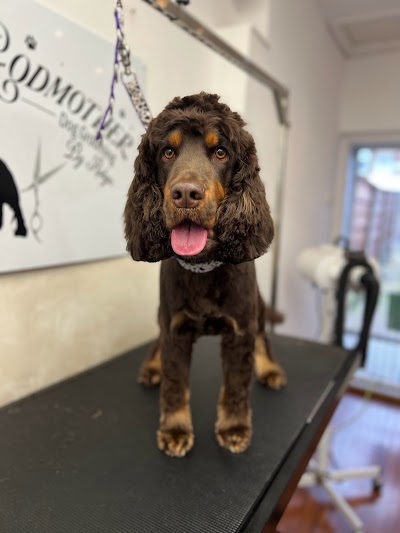 Grooming Van Image