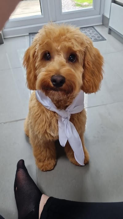 Grooming Van Image