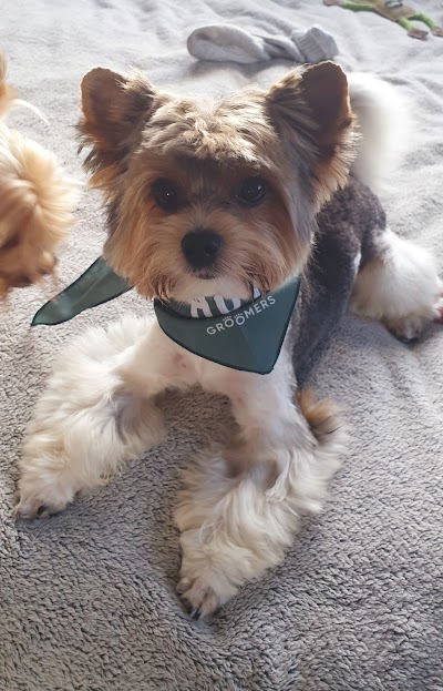 Grooming Van Image