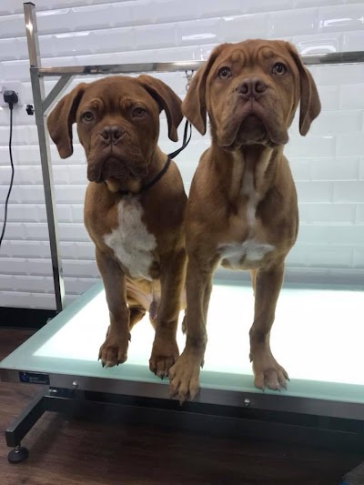 Grooming Van Image