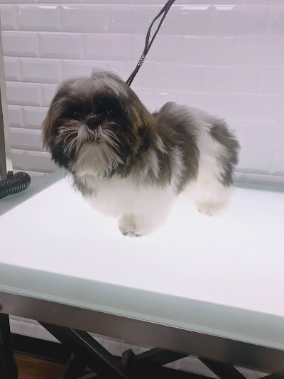 Grooming Van Image