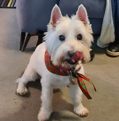 Grooming Van Image