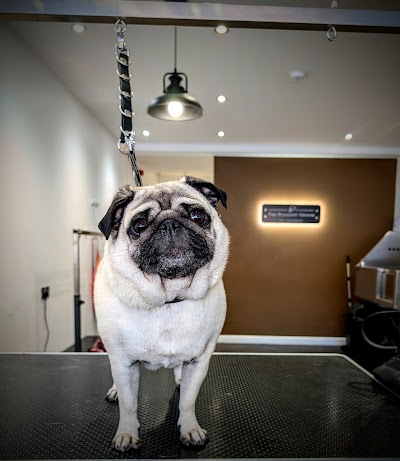 Grooming Van Image