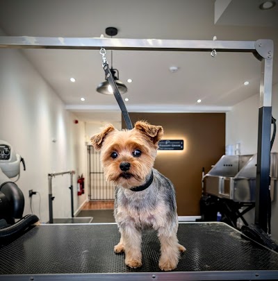 Grooming Van Image