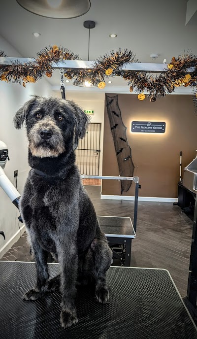 Grooming Van Image