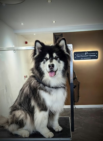 Grooming Van Image