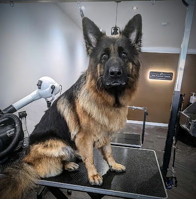 Grooming Van Image