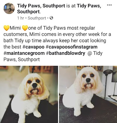 Tidy Paws Southport