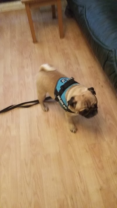 Grooming Van Image