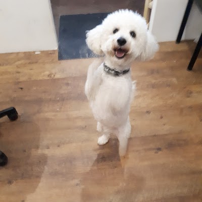 Grooming Van Image