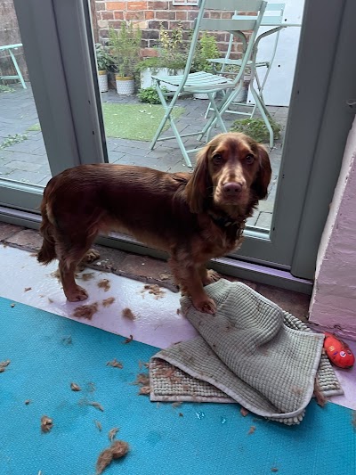 Grooming Van Image