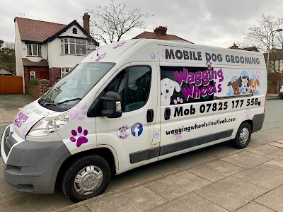 Grooming Van Image