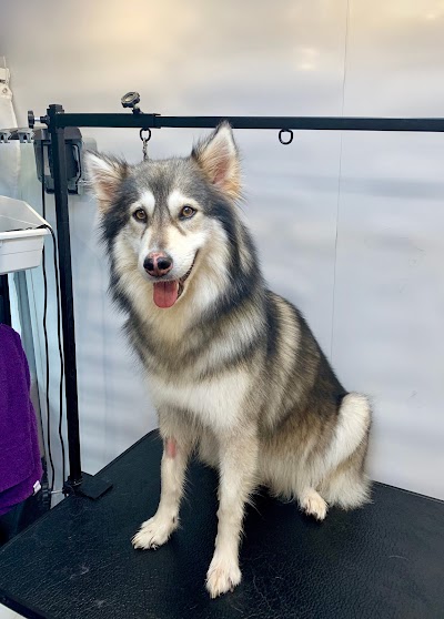 Grooming Van Image