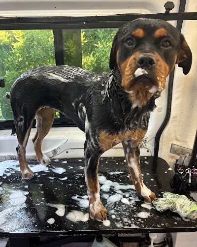 Grooming Van Image