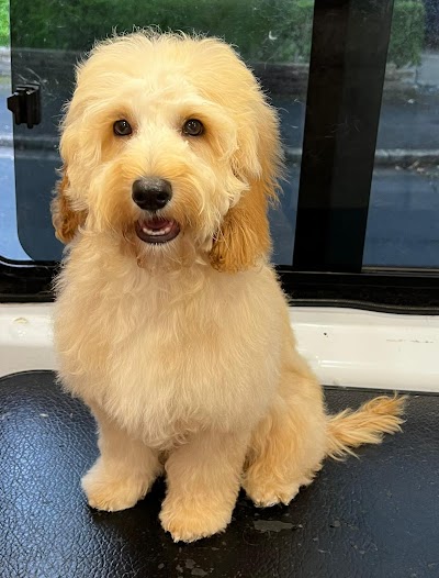 Grooming Van Image