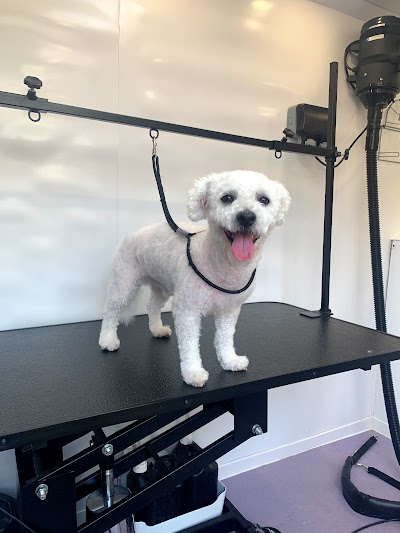 Grooming Van Image