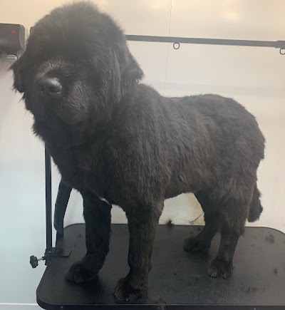 Grooming Van Image