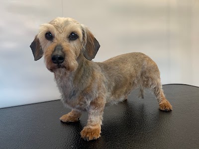 Wagging Wheels Mobile Dog Grooming