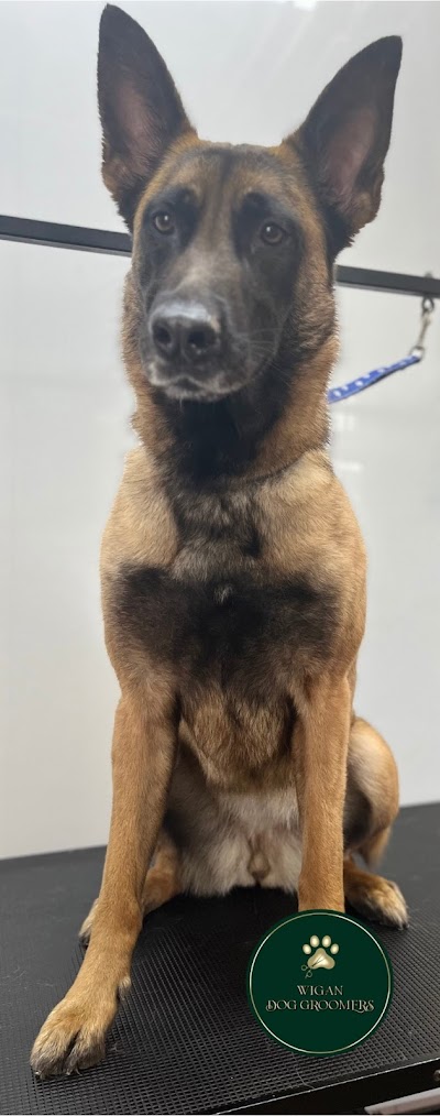 Grooming Van Image