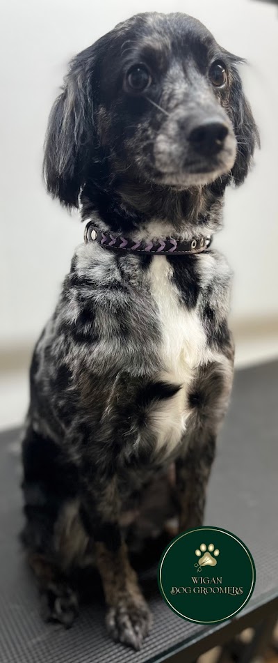 Grooming Van Image