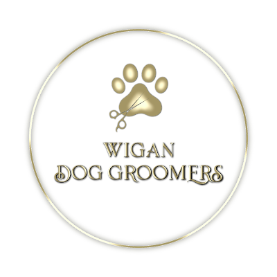 Grooming Van Image