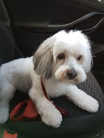 Grooming Van Image