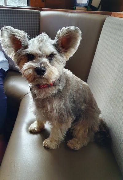 Grooming Van Image