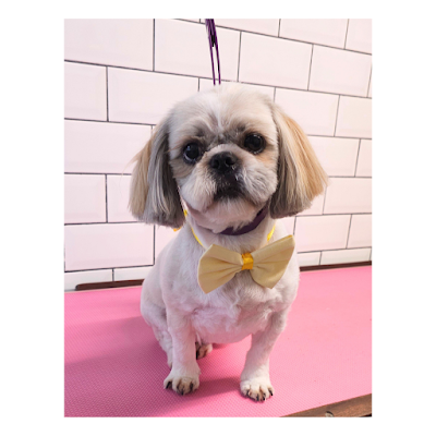 Grooming Van Image