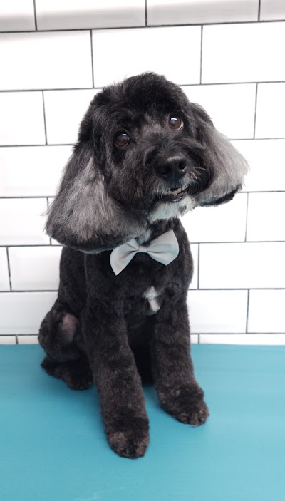 Grooming Van Image