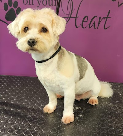 Grooming Van Image