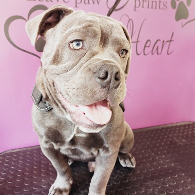 Grooming Van Image