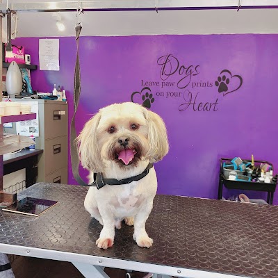 Grooming Van Image